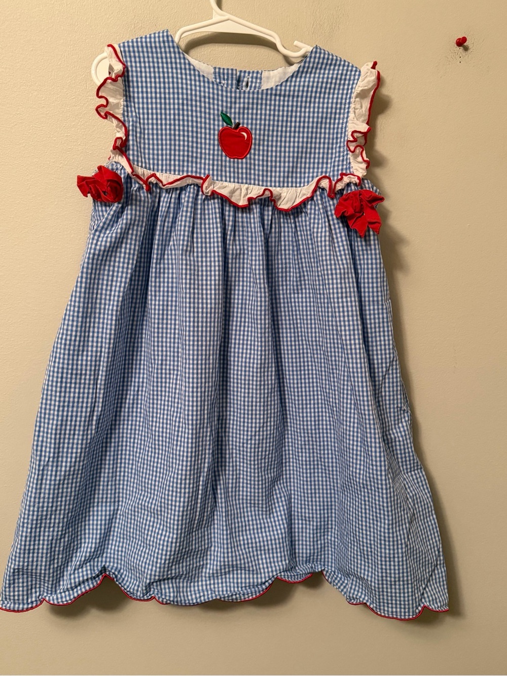 Classic Whimsy Blue Gingham Apple Appliqué  Dress